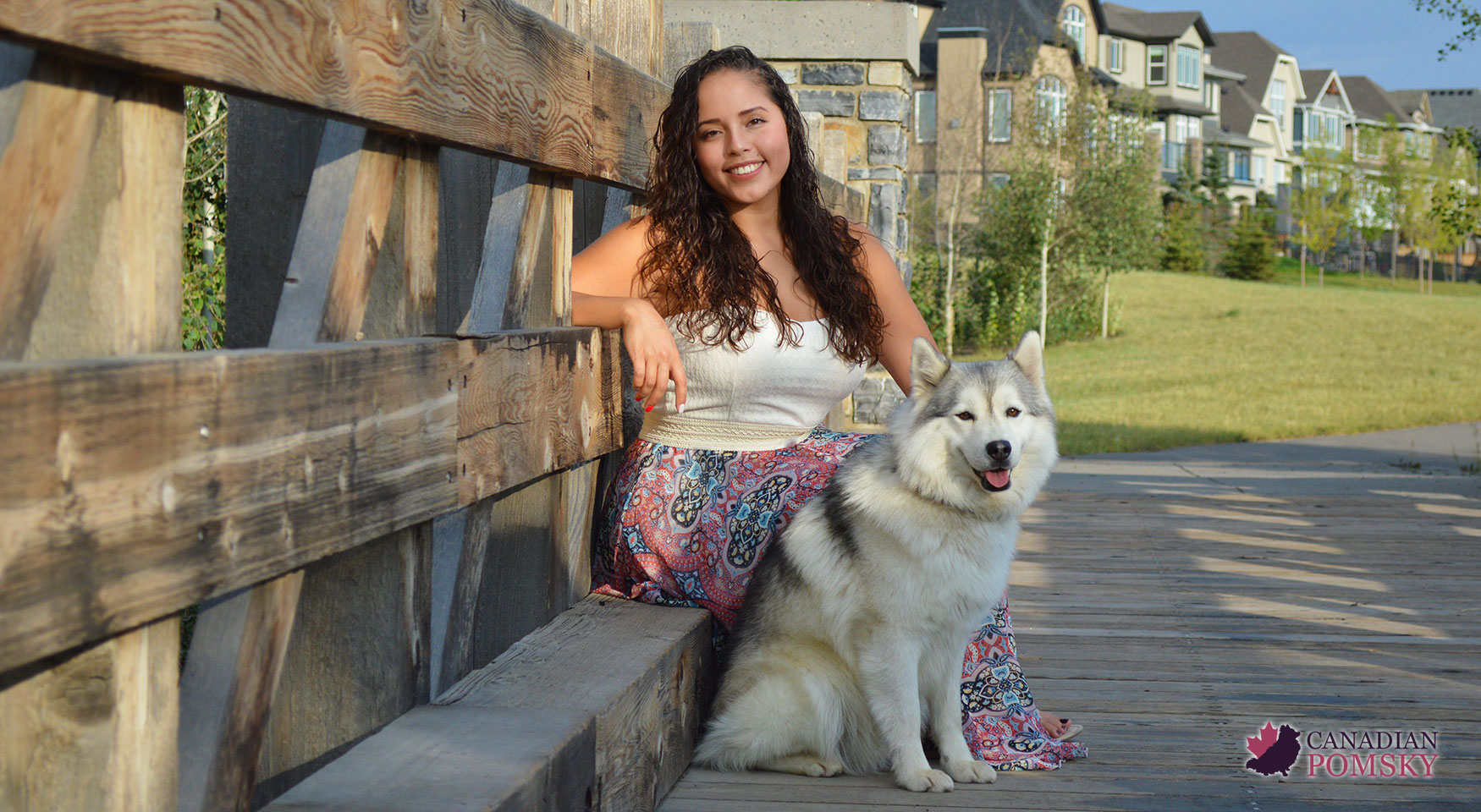 Canadian store pomsky breeders